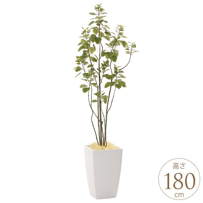 光触媒　人工観葉植物　フェイクグリーン　アーバンブランチツリー1.8 フェイクグリーン 人工樹木 アーバンスタイル ブランチツリー 1.8m