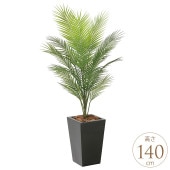 �ե��������꡼�� ȭ���� �礭�� ���տ�ʪ ȭ �����Х󥹥����� �ѡ���ĥ꡼ 1.4m ������ ����ƥꥢ���꡼�� �緿 ���ե���