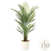 �ե��������꡼�� ȭ���� �礭�� ���տ�ʪ ȭ �ե��������� ���쥫�ѡ��� 1.5m �͹����� ¤�� ������ ����ƥꥢ���꡼�� �緿 ���ե���