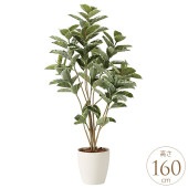 �ե��������꡼�� ȭ���� �礭�� ���տ�ʪ ȭ �͹����� �ե��������� ����ƥ���DX 1.6m �͹����� ¤�� ������ �緿 ���ե���