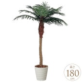 �ե��������꡼�� ȭ���� �礭�� ���տ�ʪ ȭ �͹����� �ե��������� �ե��˥å��� 1.8m �͹����� ¤�� ������ �緿 ���ե���