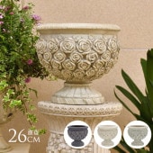 �ץ�󥿡� ������� �������� �˱ɤξ�ħ �ե�������� ���֥�å� ľ��26cm ȭ��ꤢ��/����ƥ�����/����/����/����/���֥���/��ʪ/����/