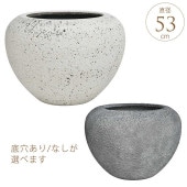 �ץ�󥿡� �緿 ȭ �礭�� ����  �������  �����ƥ��ܥ��� ľ��53cm �ץ�󥿡��ݥå� ��ȭ����ȭ �ʥ�����/ȭ���С�/���� ����/�Х륳�ˡ�/���տ�ʪ ������ʪ ���ܥƥ� ¿����ʪ ��/���� ����/