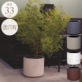 �ץ�󥿡� �緿 ȭ �礭�� �ץ�󥿡� ����ƥꥢ���顼 ����ʥ������� ľ��33cm �ץ�󥿡��ݥå� ����ȭ����/���� ����ץ�/�ꤢ��/��̳�� ����ȥ��/���տ�ʪ ������ʪ ���ܥƥ� ¿����ʪ/����ƥꥢ/���� ����/