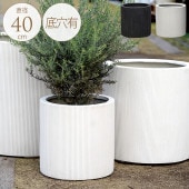 �ץ�󥿡� �緿 ȭ �礭�� ����Х�����������ľ��40cm �ץ�󥿡��ݥå� ����ȭ��̳�� ����/���� ����ץ�/�ꤢ��/�ƥ饹 �Х륳�ˡ�/�������� ����ȥ��/���տ�ʪ ������ʪ ���ܥƥ� ¿����ʪ ��/����ƥꥢ/���� ����/