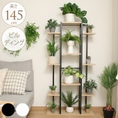 ǥץ쥤 ӥǥ ⤵145cm ץåǥå/ǥå/ץ󥿡å եå/ê /̼Ǽ/Υȡ/磻/å/տʪʥ/