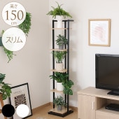 �ǥ����ץ쥤������� ����� �⤵150cm �����ץ��å������ǥ��å�/�ե���å�/�ץ�󥿡���å�/����ê �������/���̼�Ǽ/��Υȡ���/�����/����ƥꥢ���꡼��/���տ�ʪ�������ʥ���/