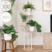 ���������� �ǥ����ץ쥤������� �ĥ꡼ �⤵100cm �ե�������� ���楬���ǥ��å�/�ǥ������å�/�ޥ���������/����ê �������/��Ω��ñ/��Υȡ���/������ɥ�����/����ƥꥢ���꡼��/���տ�ʪ�������ʥ���/