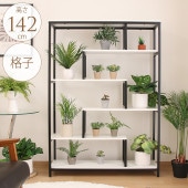 �ǥ����ץ쥤������� �ʻ� �⤵142cm �����ץ��å������ǥ��å�/�ǥ������å�/�ץ�󥿡���å�/����ê �������/���̼�Ǽ/��Υȡ���/�ʻҷ�/����ƥꥢ���꡼��/���տ�ʪ�������ʥ���/