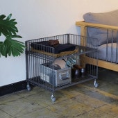 ��å� �若�� ���㥹�����դ� COLLEND ������ �磻�䡼�若�� �磻�ɡ����󥰥�  ������� ��Ǽ ����ץ� ���� ����ƥꥢ �ȶ� ê ����