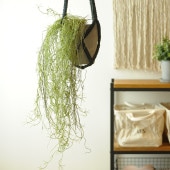 Brown. �֥饦�� �ե��������꡼�� ���ѥ˥å���⥹ �ϥ󥮥󥰥֥å��� ���꡼�� 77cm ���տ�ʪ¤�� �ꥢ�� �ϥ󥮥�/���꡼�� /�������/����ƥꥢ/�ǥ����ץ쥤/���� �ɳݤ�/¿����ʪ/����/��/