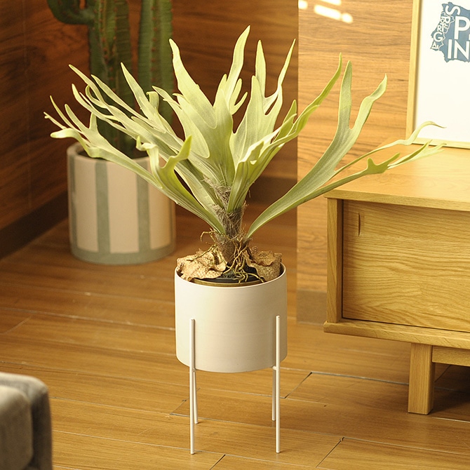 Brown. ブラウン フェイクグリーン ビカクシダ ポット 58cm 観葉植物