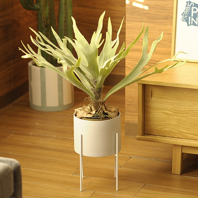 Brown. ブラウン フェイクグリーン ビカクシダ ポット 58cm 観葉植物