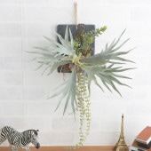 �ե��������꡼�� �ɳݤ� �� �֥饦�� �ӥ������� ��������ϥ󥮥� ���졼�� 20  �ɾ��� ����ƥꥢ �̲� ������� �͹� ���տ�ʪ ���꡼��