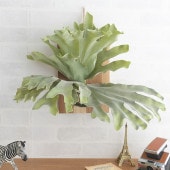 ե꡼ ɳݤ  ֥饦 ӥ ϥ󥮥  30  ɾ ƥꥢ ̲  ͹ տʪ ꡼