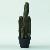 Brown. �֥饦�� �쥵�ܥƥ� �ݥå� 63 ���տ�ʪ ���ܥƥ�¤�� �ꥢ��/���꡼�� �緿 �礭��/�������/����ƥꥢ/�ǥ����ץ쥤/����/¿����ʪ/����/��/