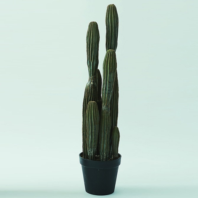 Brown. ブラウン 柱サボテン ポット 91 観葉植物 サボテン造花 大型
