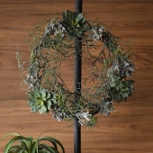 Brown. �֥饦�� �ե��������꡼�� ��������ȥ꡼�� GG 46 ���տ�ʪ¤�� �⥹�꡼��/���꡼�� �ꥢ��/������� �ɳݤ�/����ƥꥢ ����/�ǥ����ץ쥤/����/¿����ʪ/����/��/