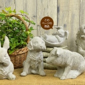 �����ǥ󻨲� ������ ��ʪ ������� �������� ������ ��ӥå� A  ���֥��� ���� ���� ���襤�� �����ǥ� ���� ���� �� �٥���