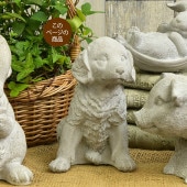 �����ǥ󻨲� ���� ��ʪ ������� �������� ������ �ɥå� A  ���֥��� ���� ���� ���襤�� �����ǥ� ���� ���� �� �٥���