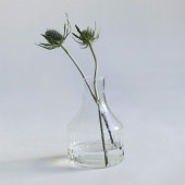  ޤ 饹  ۡ ץ꡼ 塼饹 饤 ե١ 饹  ̲ ƥꥢ 