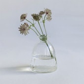  ޤ 饹  ۡ ץ꡼ 塼饹 饤 ե١ ȥ졼  ̲ ƥꥢ 