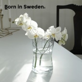 Born in Sweden ���ե����١���  M ���饹���饹�١��� �ե��١��� ���饹���� �ִ� ��α�� �ֻߤ� ����ץ� ����� ����ƥꥢ ���֥��� �ץ쥼���