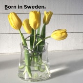 Born in Sweden ���ե����١��� S ���饹���饹�١��� �ե��١��� ���饹���� �ִ� ��α�� �ֻߤ� ����ץ� ����� ����ƥꥢ ���֥��� �ץ쥼���