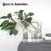 Born in Sweden ���ե����١��� L ���饹���饹�١��� �ե��١��� ���饹���� �ִ� ��α�� �ֻߤ� ����ץ� ����� ����ƥꥢ ���֥��� �ץ쥼���