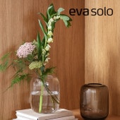 eva solo ( Х ) Acorn١ 16.5   饹ӥե١/饹 ١/ץ /ǥ/֥å 졼/̲ //ꥢ Ʃ ꡼/åԥ åԥ ե/