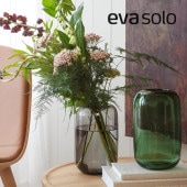 eva solo ( Х ) Acorn١ 22   饹ӥե١/饹 ١/ץ /ǥ/֥å 졼/̲//ꥢ ꡼/åԥ åԥ ե ץ쥼/