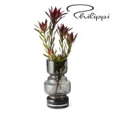 PHILIPPI ( եå ) City ١ S   ١ե١/饹١/̲ /ץ/Υȡ 졼 ֥å/ǥ/å /߷  ӥơ/åԥ ̵/