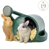 顼饤 ֥ ʿ¤ʶ ȥ硼 ǥ饤Ȳ//LED/饤/顼//襤/