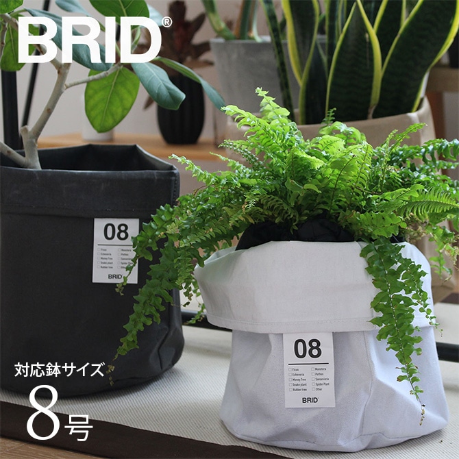鉢カバー 大型 軽い BRID ブリッド Olika プランターカバー 8号
