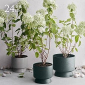 ץ󥿡  ץ饹å  Recycled եݥå ľ24cm  ȭ ڤ ץ  ̲ ȭС