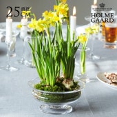 ���饹���� ��̺��� �ۥ�६���� Old English �ե��ܥ��� ľ��25cm  ���� �̲� ����ƥꥢ �ե��١��� ���� ����ץ� �������