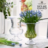 饹 Ʃ ۥ६ Old English ١ ⤵19cm   ̲ ƥꥢ ե١  ץ 