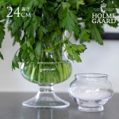 饹 ̺ ۥ६ Old English ١ ⤵24cm   ̲ ƥꥢ ե١  ץ 