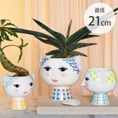 ӥ֥å   եݥå ľ21cm     ̲ ƥꥢ  ե١ ١  ͵