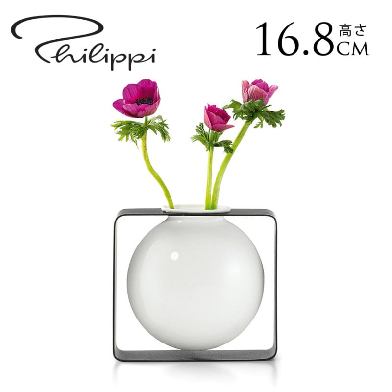PHILIPPI �ե���å� �ե����ȥ١������饦��� �ե��١����̲�����ƥꥢ ���� ���� ��ӥ� base ����⤯ ����ץ� �����ޤ�