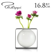 PHILIPPI �ե���å� �ե����ȥ١������饦��� �ե��١����̲�����ƥꥢ ���� ���� ��ӥ� base ����⤯ ����ץ� �����ޤ�