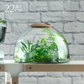 LSA International ���饹�ɡ��� Canopy ����Υԡ� Closed Garden Clear H22cm ���ꥢ �ϥ��ɥ�������㡼 �̲� ������� �̲�����ƥꥢ ����ץ� ��̺��� Ʃ��