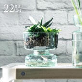 LSA International �ե��١��� Canopy ����Υԡ� Self Water Planter H13cm  Ʃ�� ���饹 ������� ���饹�١��� �̲� �̲�����ƥꥢ �ե�����󥸥��� ����ץ� �ϥ��ɥ�������㡼
