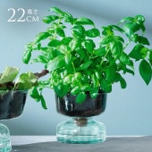 LSA International �ե��١��� Canopy Self Water Planter  Ʃ�� ���饹 ������� ����ץ� ���饹�١��� �̲� �̲�����ƥꥢ �ե�����󥸥��� ��̺��� �ϥ��ɥ�������㡼