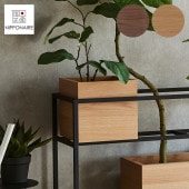 NIPPONAIRE ˥åݥͥ LEAFY ꡼ե  ץ󥿡ܥå 29cm (ե졼)  ꡼ե ȭС