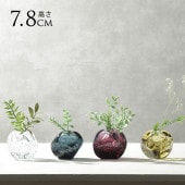 Sghr �����ϥ� �ե��١��� ���� ���� �����ޤ�  ������ ������� ���饹 �͵� ���饹���� �֥��� �� Ʃ�� ������ ���� ���� �ץ쥼��� ���ե� ��������