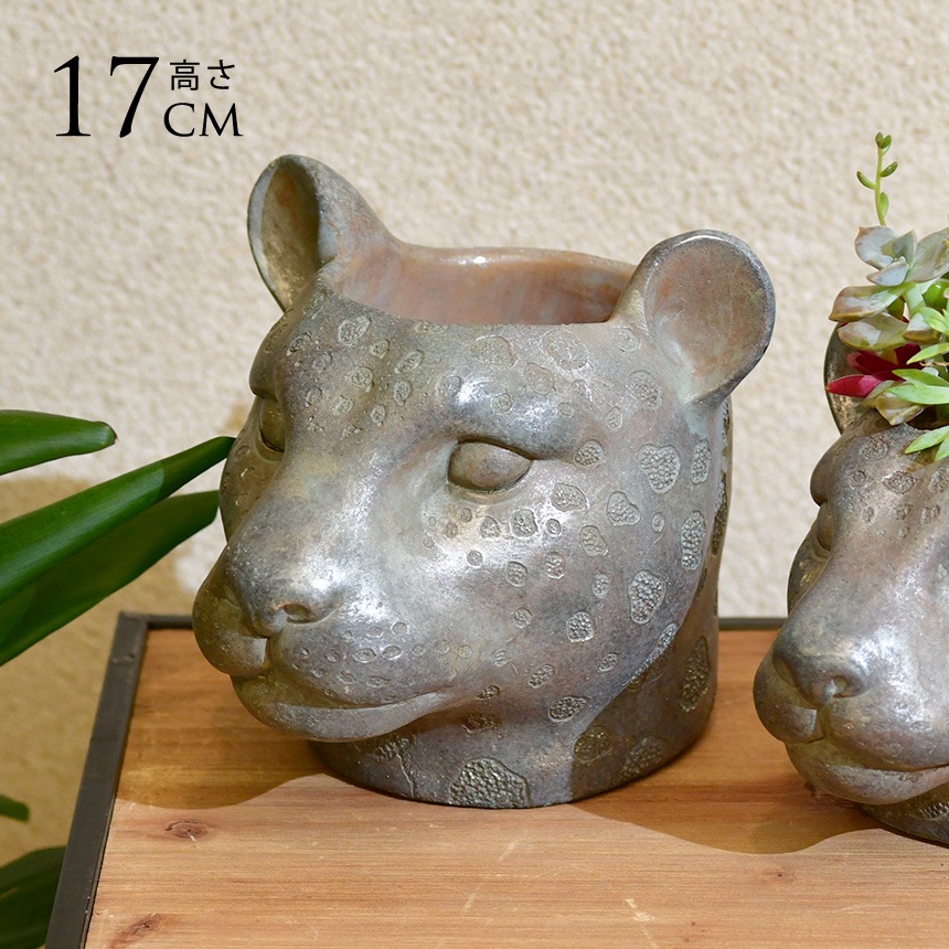 インテリア　置物　鉢 000000021821_bUwbNU0.jpg