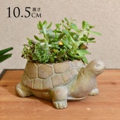 �ե��ݥå� ���� ȭ ���˥ޥ�ݥå� ���� TURTLE  �ץ�󥿡� ������ ��ʪ���� �ڥ�Ω�� �̲� ���֥��� ���� ���� �ꥯ���� ��������  ���å�