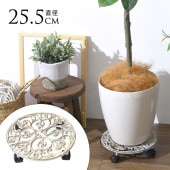 ���� ���㥹�����դ� �ץ��ȥ���꡼ �������� ľ��25cm ���㥹��������ƥ����� ȭ�� ������ ���� ���� �ץ�󥿡��� 5�� 6�� 7�� 8��