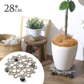 ���� ���㥹�����դ� �ץ��ȥ���꡼ �ե� ľ��28cm ���㥹��������ƥ����� ȭ�� ������ ���� ���� �ץ�󥿡��� 5�� 6�� 7�� 8��